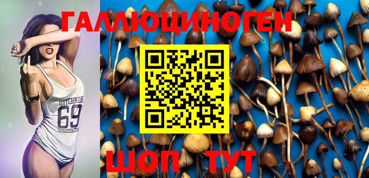 Галлюциногенные грибы MAGIC MUSHROOMS Гатчина